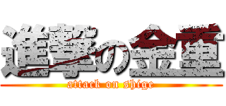 進撃の金重 (attack on shige)