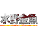 水野金魚 (attack on titan)