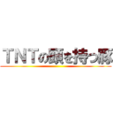 ＴＮＴの頭を持つ豚 ()