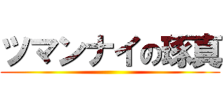 ツマンナイの琢真 ()