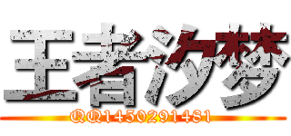 王者汐梦 (QQ1450291481)