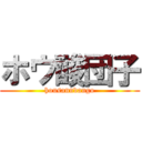 ホウ酸団子 (housanndango)