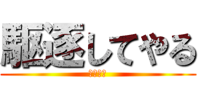 駆逐してやる (いや殺す)