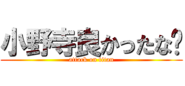 小野寺良かったな➖ (attack on titan)