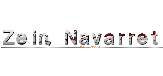 Ｚｅｉｎ，Ｎａｖａｒｒｅｔｔｅ (VI - Gold)