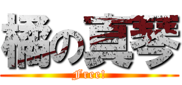 橘の真琴 (Free!)