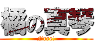 橘の真琴 (Free!)