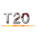Ｔ２０  (Levi)