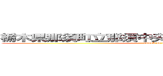 栃木県那須町立那須中央中学校 ２年２組１９番 (attack on titan)