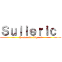 Ｓｕｌｉｅｒｉｃ  (Portafolio Digital)