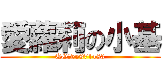 愛蘿莉の小基 (QQの55971483)