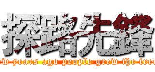 探路先鋒 (few years ago people grew the tree)