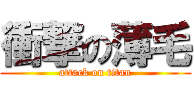 衝撃の薄毛 (attack on titan)