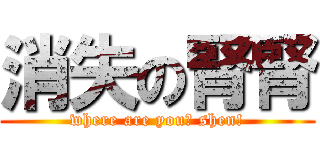 消失の腎腎 (where are you? shen!)