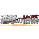 進撃の怡蓁 (attack on titan)