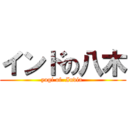 インドの八木 (yagi of  India )