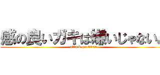 感の良いガキは嫌いじゃないよ (attack on titan)