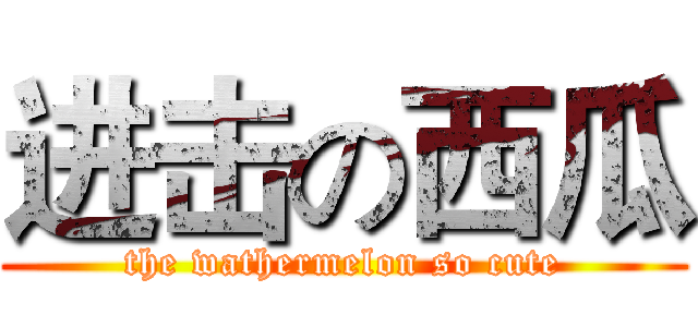 进击の西瓜 (the wathermelon so cute)