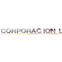 ＣＯＲＰＯＲＡＣＩＯＮ Ｌ．Ｐ．Ｌ (Levi productos de limpieza)