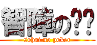 智障の专业 (sohai no poker)