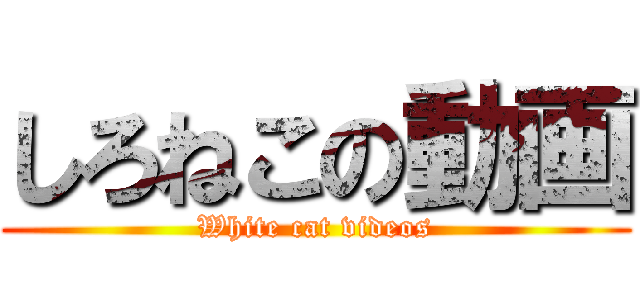 しろねこの動画 (White cat videos)