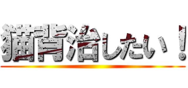 猫背治したい！ ()