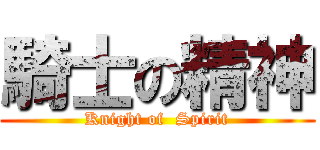 騎士の精神 (Knight of  Spirit)