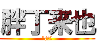 胖丁来也 (台中一游)