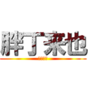 胖丁来也 (台中一游)