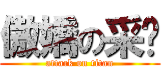 傲嬌の采妮 (attack on titan)