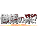 傲嬌の采妮 (attack on titan)