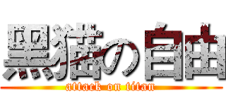黑猫の自由 (attack on titan)