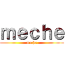 ｍｅｃｈｅ (meche)