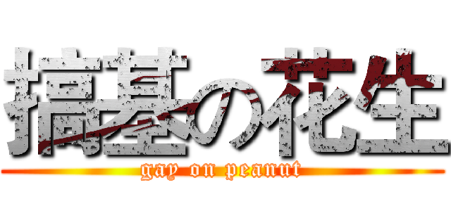 搞基の花生 (gay on peanut)