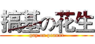 搞基の花生 (gay on peanut)