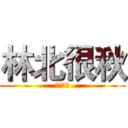 林北很秋 (不是很秋)