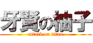 牙賢の柚子 (attack on titan)