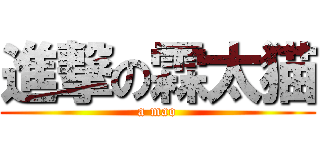 進撃の霖太猫 (a mao)
