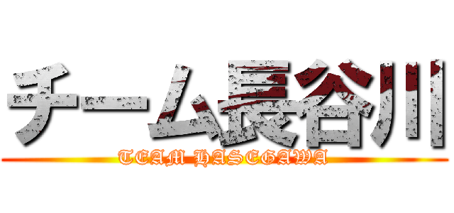 チーム長谷川 (TEAM HASEGAWA)