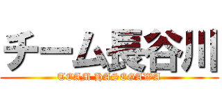 チーム長谷川 (TEAM HASEGAWA)