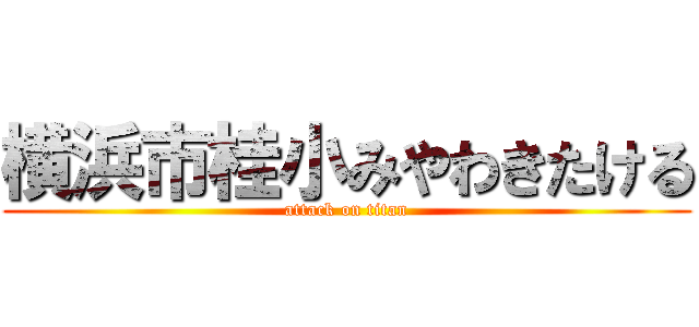 横浜市桂小みやわきたける (attack on titan)