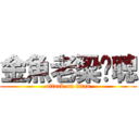 金魚老梁啟聰 (attack on titan)