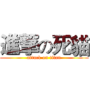 進撃の死貓 (attack on titan)