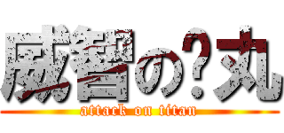 威智の睪丸 (attack on titan)