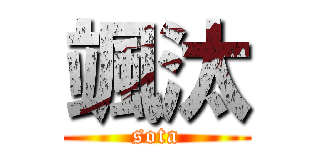 颯汰 (sota)
