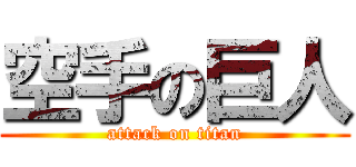 空手の巨人 (attack on titan)