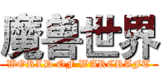 魔兽世界 (WORLD OF WARCRAFT)