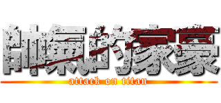 帥氣的家豪 (attack on titan)