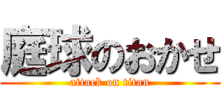 庭球のおかせ (attack on titan)