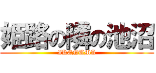 姫路の隣の池沼 (IKENUMA)